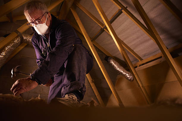 Best Wall Insulation Contractor  in Pawnee, OK